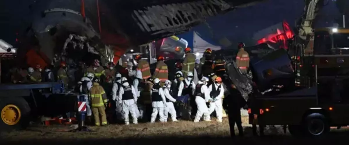 5 Fakta kecelakaan Pesawat Jeju Air di Bandara Muan Korea Selatan, diduga tabrakan dengan burung