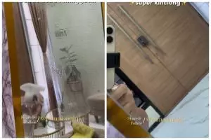 Trik agar kaca selalu bebas debu, berkilau, dan tak buram, cukup semprot pakai 1 bahan dapur ini