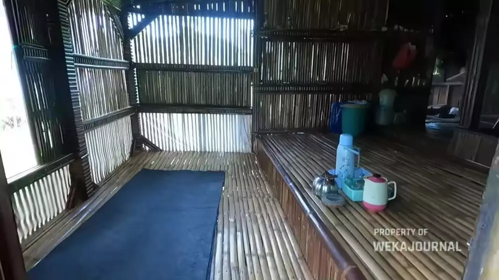 rumah bambu tengah sawah sederhana nyaman © 2024 YouTube