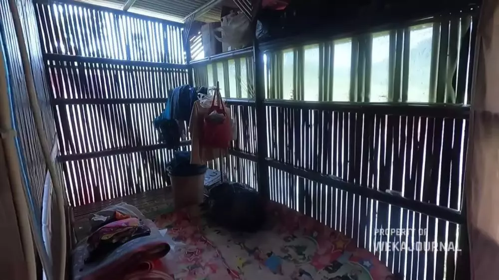 rumah bambu tengah sawah sederhana nyaman © 2024 YouTube