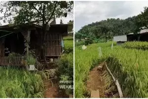 Mewah bukan segalanya, 9 potret rumah bambu tengah sawah ini biar sederhana tapi idaman untuk masa tua