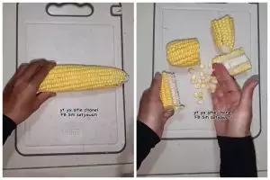 Cara pipil jagung sampai bonggolnya bersih ini nggak pakai ribet, lebih hemat waktu dan tenaga