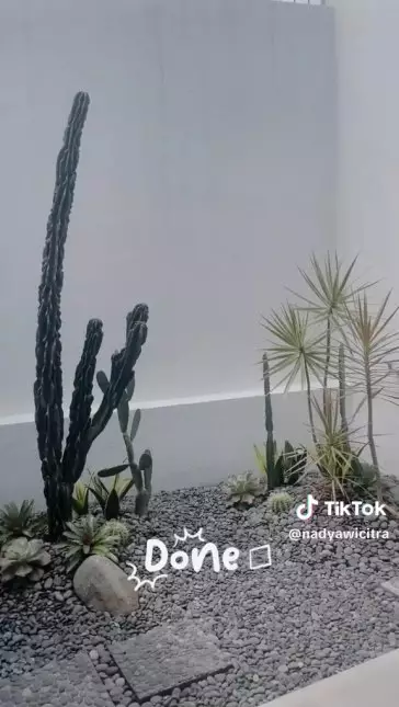 renovasi dapur terbuka © TikTok