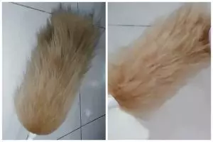 Kerap jadi sarang debu, ini trik mencuci kemoceng bulu agar tak rontok dan jadi lebih lembut