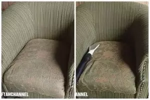 Lebih ampuh dari cuka, ini trik hilangkan bau pesing bekas pipis kucing di sofa dalam 20 menit