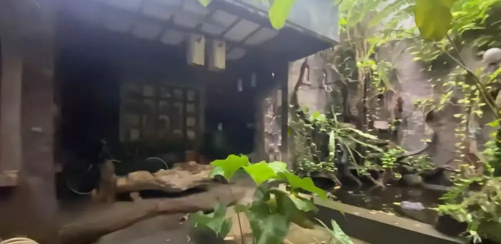 potret kamar mandi Haji Asari serasa zaman batu © 2024 brilio.net potret kamar mandi Haji Asari serasa zaman batu © 2024 brilio.net