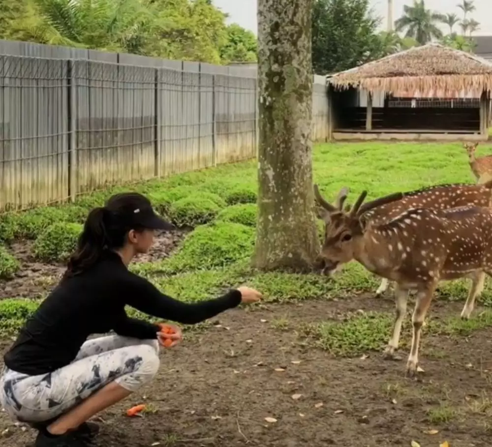 Raline Shah punya rumah mewah di Medan  © Instagram