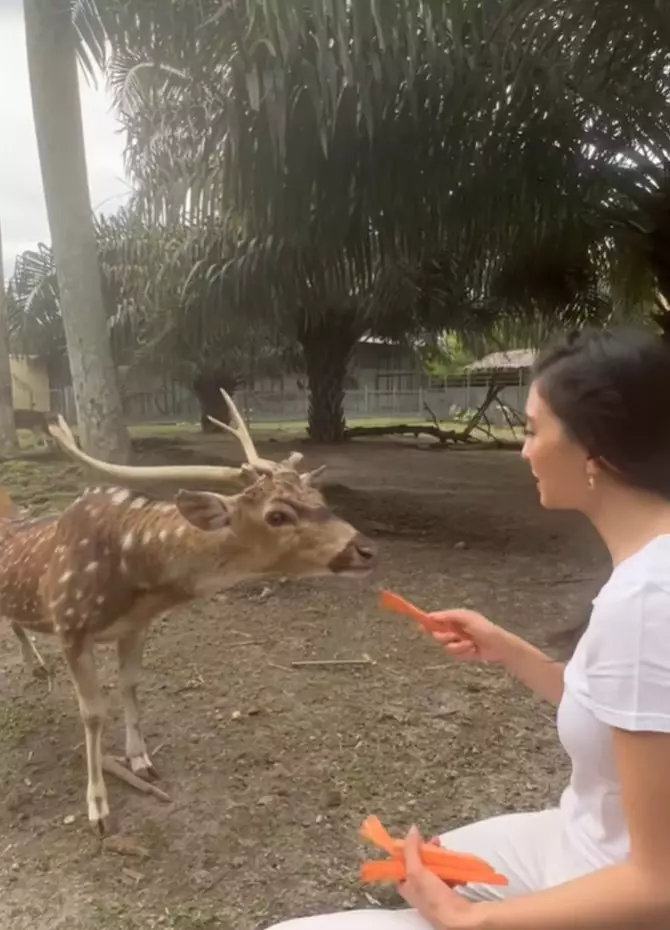 Raline Shah punya rumah mewah di Medan  © Instagram