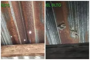 Bukan pakai lakban atau pelapis khusus, ini cara mudah menambal seng bocor dengan 2 bahan sederhana