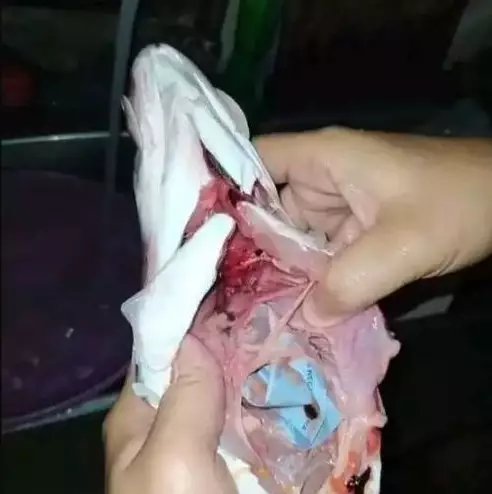 rezeki nomplok © Berbagai sumber rezeki nomplok © Berbagai sumber