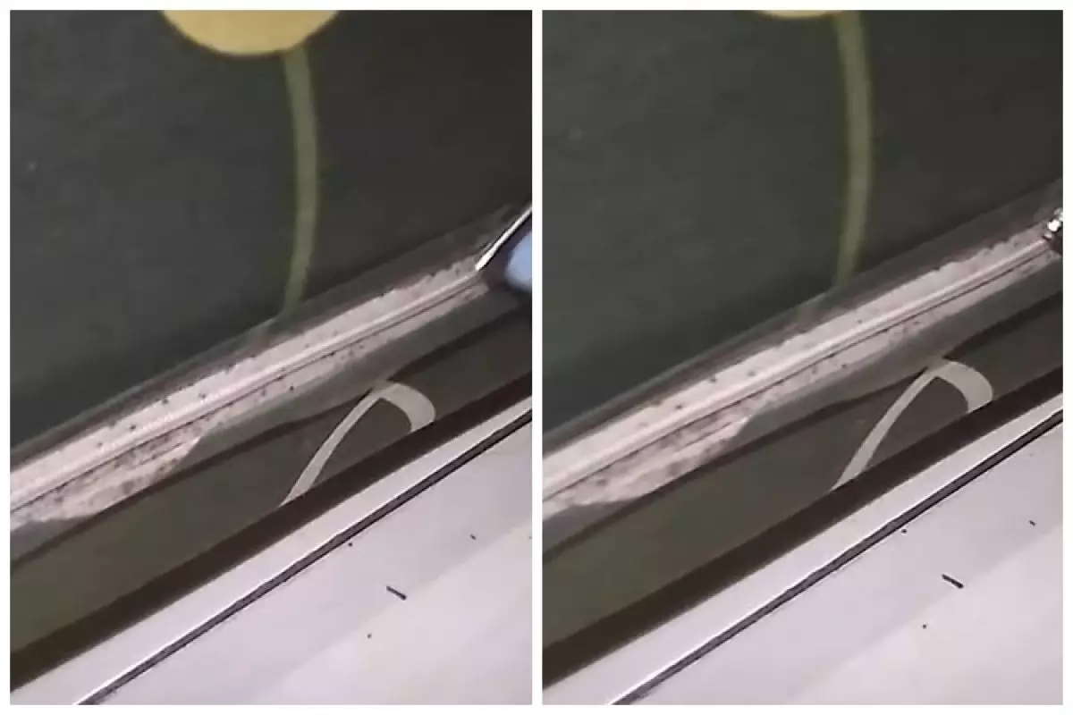 Tak perlu disemprot cairan khusus, begini trik ampuh membasmi tungau di kasur agar tak muncul lagi