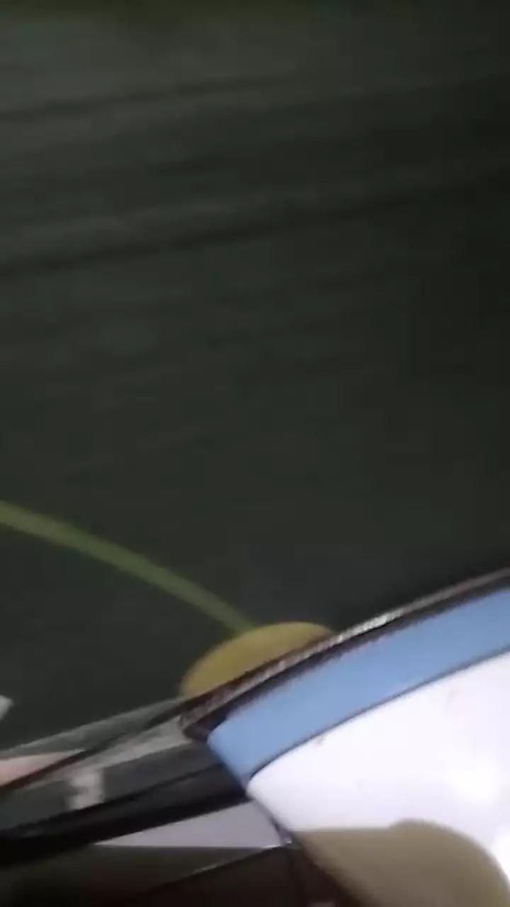 trik ampuh membasmi tungau di kasur © YouTube