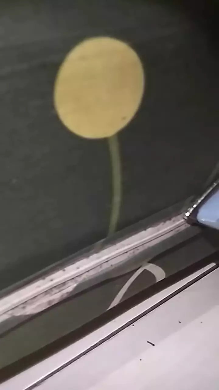 trik ampuh membasmi tungau di kasur © YouTube