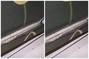 Tak perlu disemprot cairan khusus, begini trik ampuh membasmi tungau di kasur agar tak muncul lagi