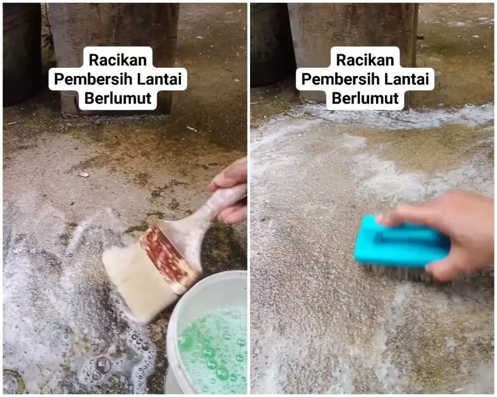 cara bersihkan lumut tebal di lantai semen © Facebook
