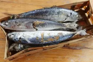 Cara membersihkan ikan pindang agar tidak hancur dan bebas amis