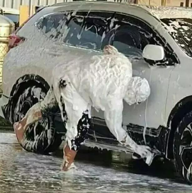 Potret kocak orang nyuci kendaraan Berbagai sumber