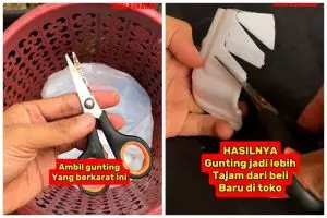 Trik sederhana agar gunting tumpul dan karatan jadi setajam silet lagi hanya dengan 1 bahan dapur