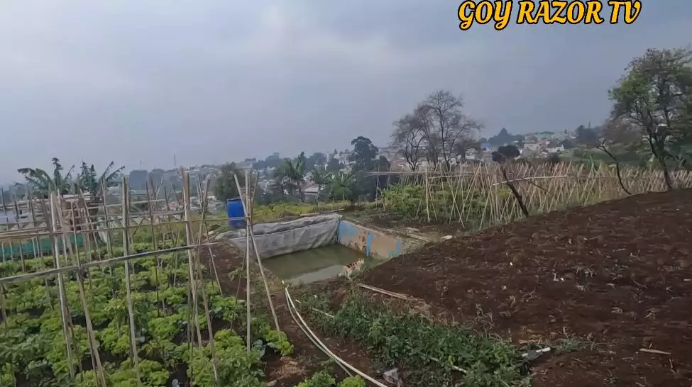 potret rumah anjasmara kosong © YouTube