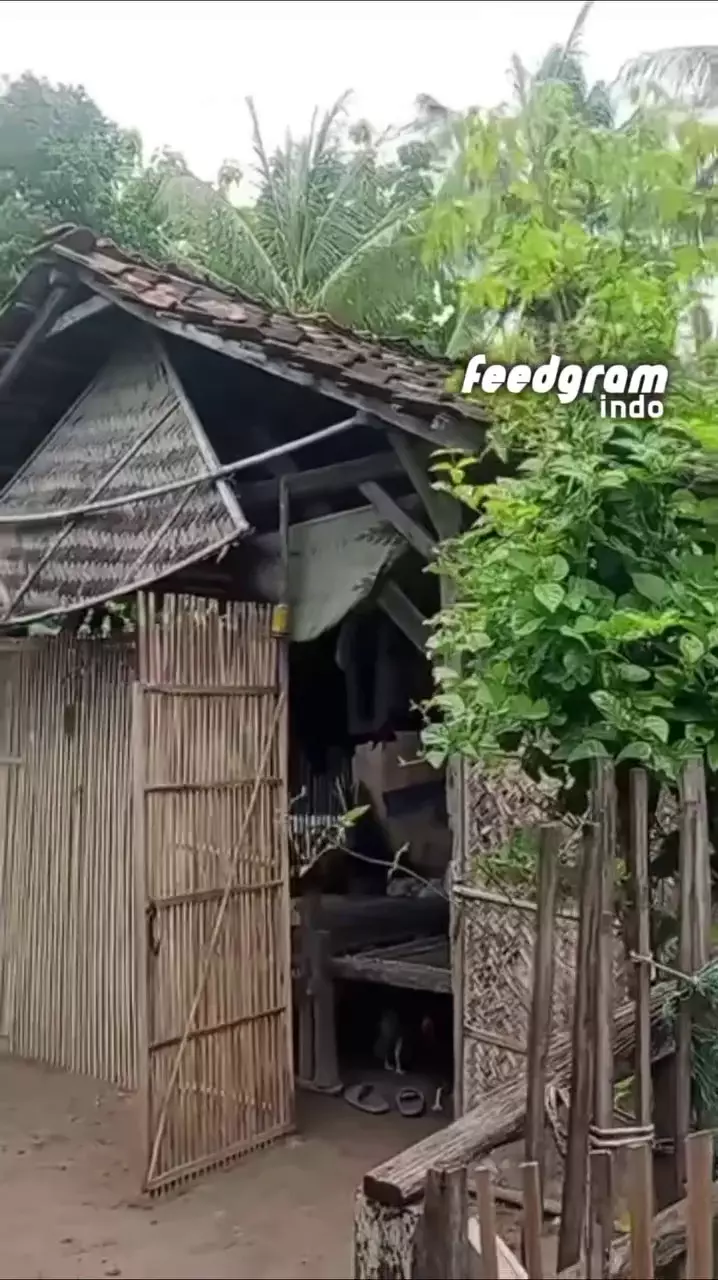 rumah guru yang dibakar muridnya © 2025 Instagram rumah guru yang dibakar muridnya © 2025 Instagram