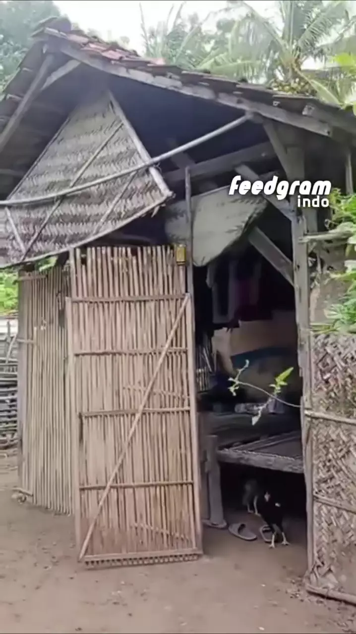 rumah guru yang dibakar muridnya © 2025 Instagram rumah guru yang dibakar muridnya © 2025 Instagram