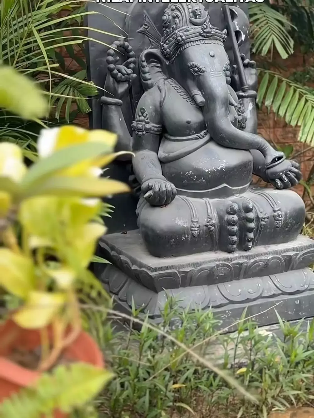 potret wisma Habibie dan Ainun yang penuh kenangan romantis © 2025 brilio.net