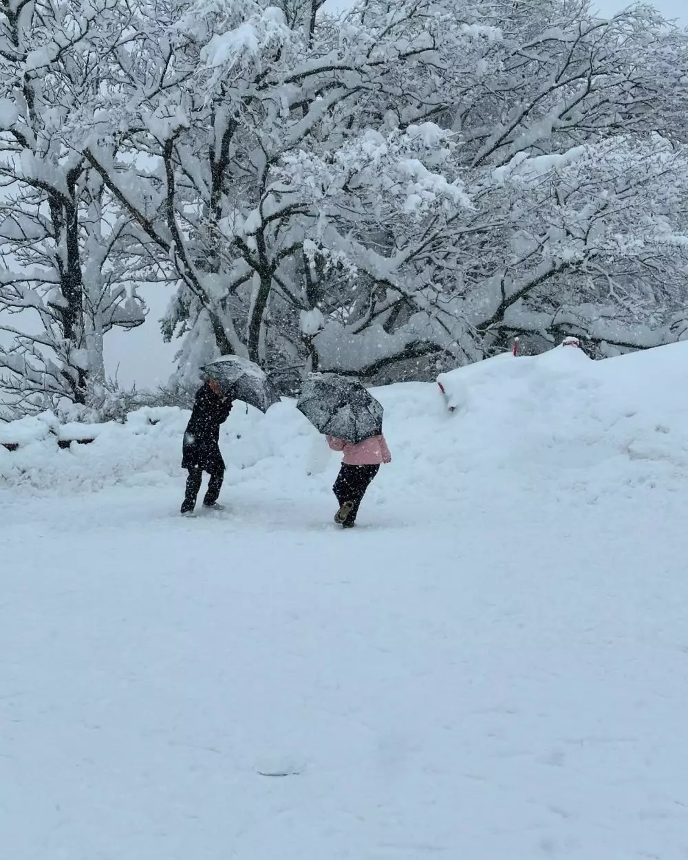 Yuki Kato pulang ke kampung Jepang © Instagram Yuki Kato pulang ke kampung Jepang © Instagram