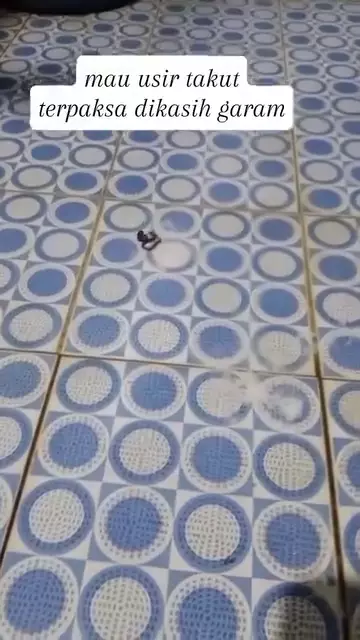 trik mengusir cacing di kamar mandi © Instagram trik mengusir cacing di kamar mandi © Instagram