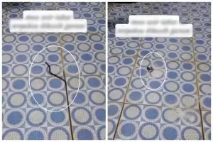 Kerap muncul di musim di hujan, ini trik mengusir cacing di kamar mandi supaya nggak balik lagi