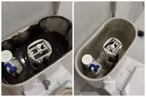 Bisa bikin WC menguning, ini trik membersihkan tangki kloset supaya bebas lumut dan kerak hitam