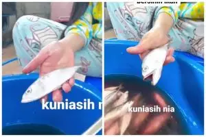 Tak perlu disayat dulu, ini trik cepat bersihkan insang ikan dalam 5 detik cuma pakai 1 alat