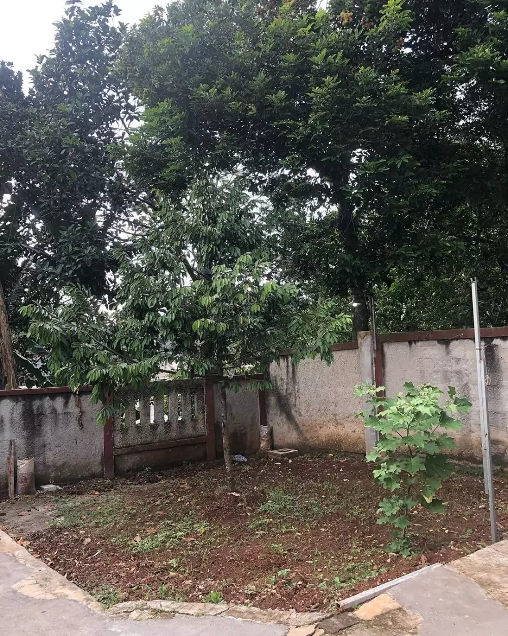 rumah fico fachriza dijual © 2025 Instagram rumah fico fachriza dijual © 2025 Instagram