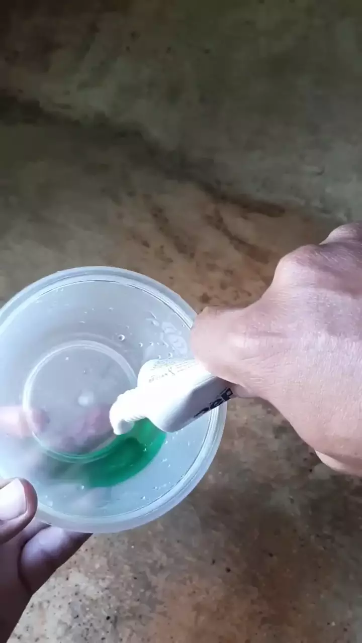 cairan pengusir semut © 2023 brilio.net cairan pengusir semut © 2023 brilio.net