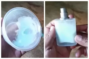 Cuma pakai 2 bahan sederhana, ini cara cepat mengusir semut agar tak naik ke meja makan