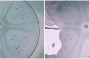 Tanpa perlu ribet bongkar, ini cara bersihkan mesin cuci cukup pakai satu bahan dapur