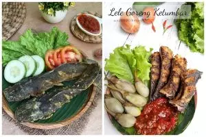 20 Resep bumbu lele goreng, enak, gurih, praktis, dan bumbu meresap ke dalam
