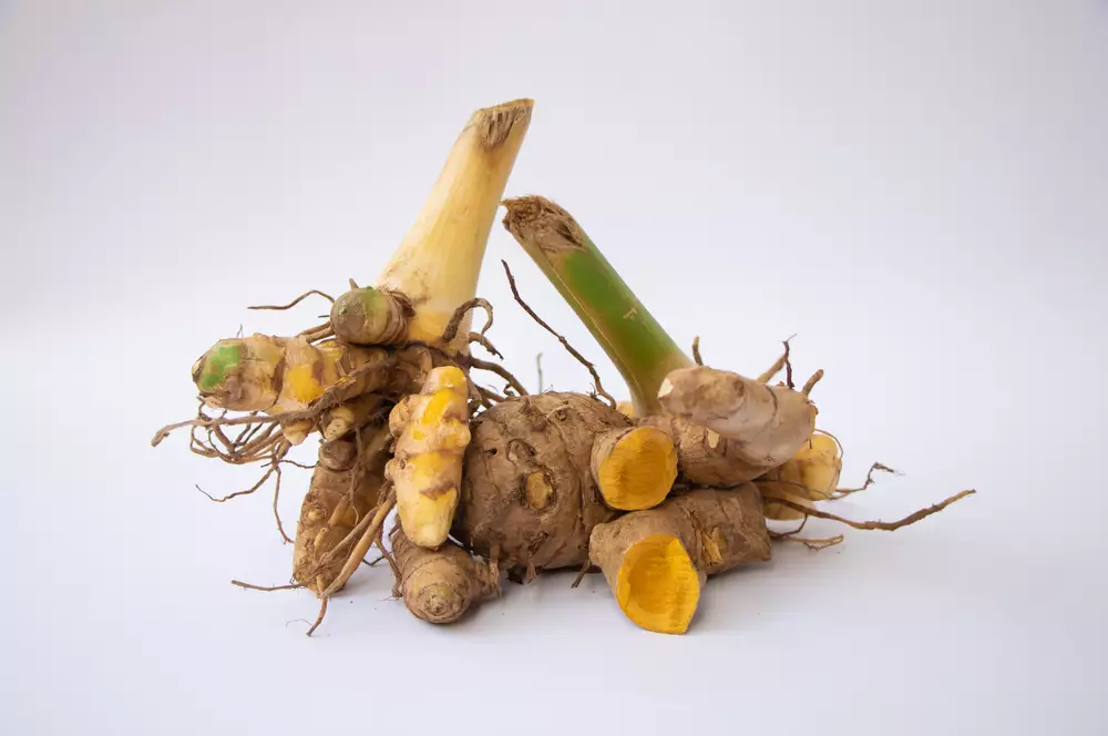 Sidomuncul_223 © 2025 brilio.net