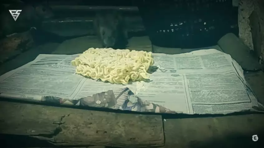 Trik membasmi tikus di dapur pakai mi dan kapur ajaib © YouTube