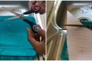 Trik menajamkan gunting tumpul pakai 1 bahan dapur, jadi lebih tajam ketimbang baru beli