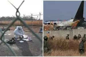 Fakta terbaru kecelakaan pesawat Jeju Air, ditemukan bangkai bebek di mesin pesawat