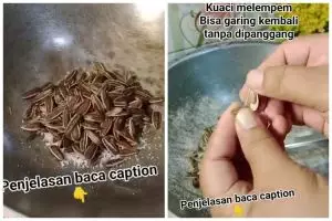 Kuaci melempem bisa garing lagi tanpa dipanggang, cukup masak bersama 1 bumbu dapur ini