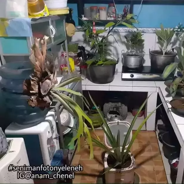 potret kocak desain dapur warga Berbagai sumber