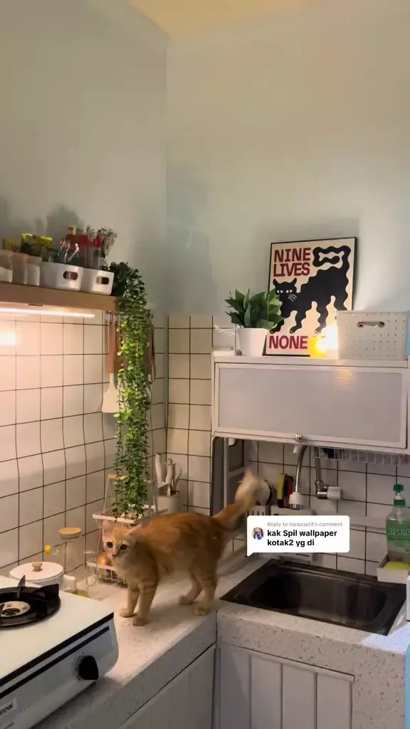 makeover dapur kos jadi estetik © 2025 TikTok