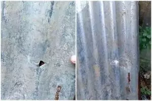 Tanpa kapas atau gabus, ini trik tambal atap seng berlubang lebar agar tak bocor pakai 1 bahan dapur