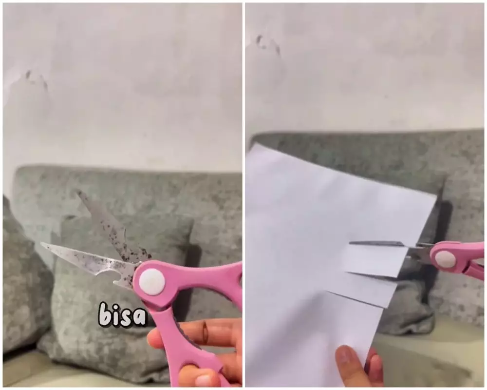trik menajamkan gunting berkarat © Instagram trik menajamkan gunting berkarat © Instagram