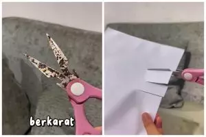 Tanpa diampelas atau diasah, ini trik menajamkan gunting berkarat agar kinclong lagi seperti baru