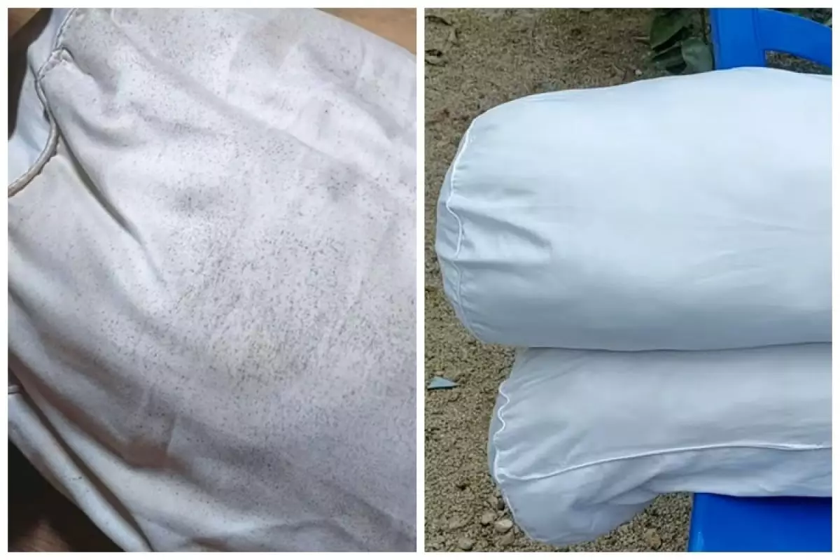 Cara mencuci guling berjamur agar bersih lagi pakai tambahan 1 bahan dapur, tanpa direndam air panas