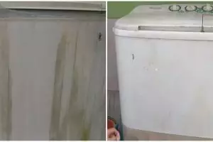 Trik mudah bersihkan noda membandel dari badan mesin cuci jadi auto kinclong, cuma pakai 1 bahan dapur