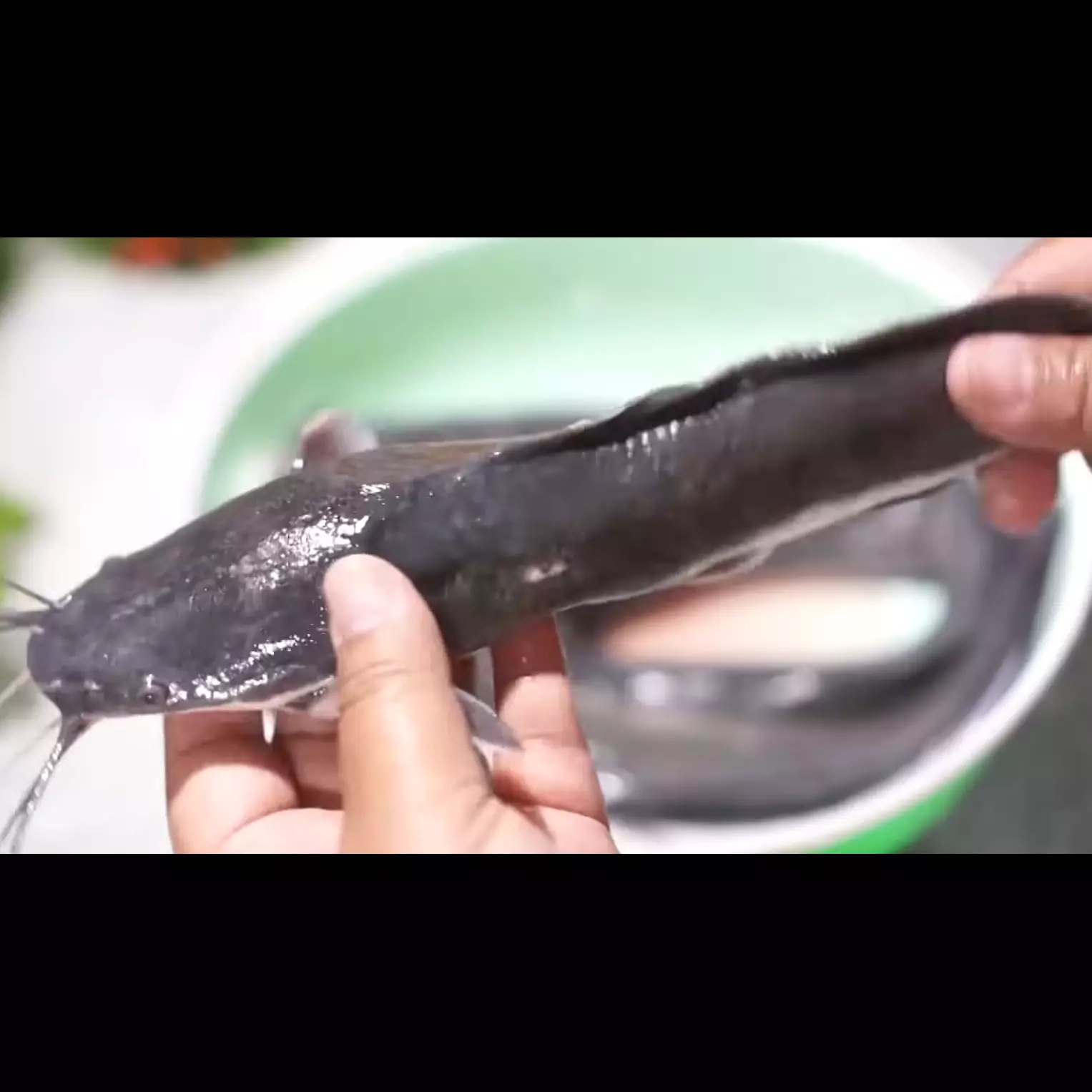 Trik ampuh hilangkan lendir ikan lele pakai 1 jenis tepung, bikin renyah dan tak lengket saat digoreng