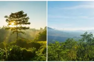 30 kata-kata pemandangan alam bahasa Inggris dan artinya, bikin caption di media sosial makin keren